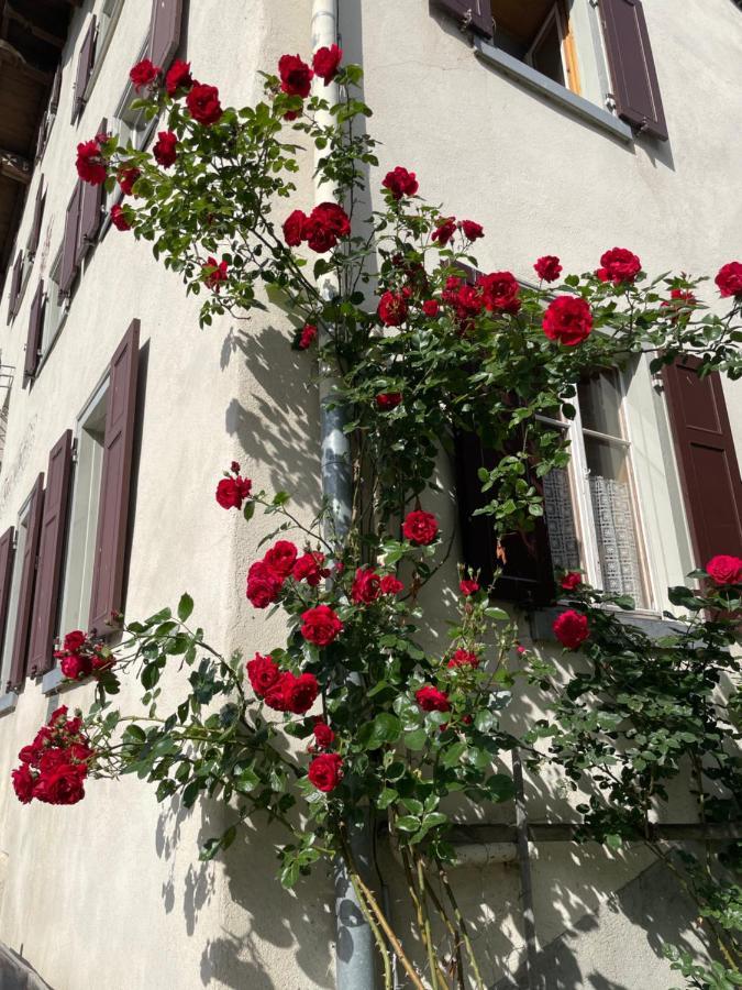 Gasthaus Beverin Farden Dış mekan fotoğraf